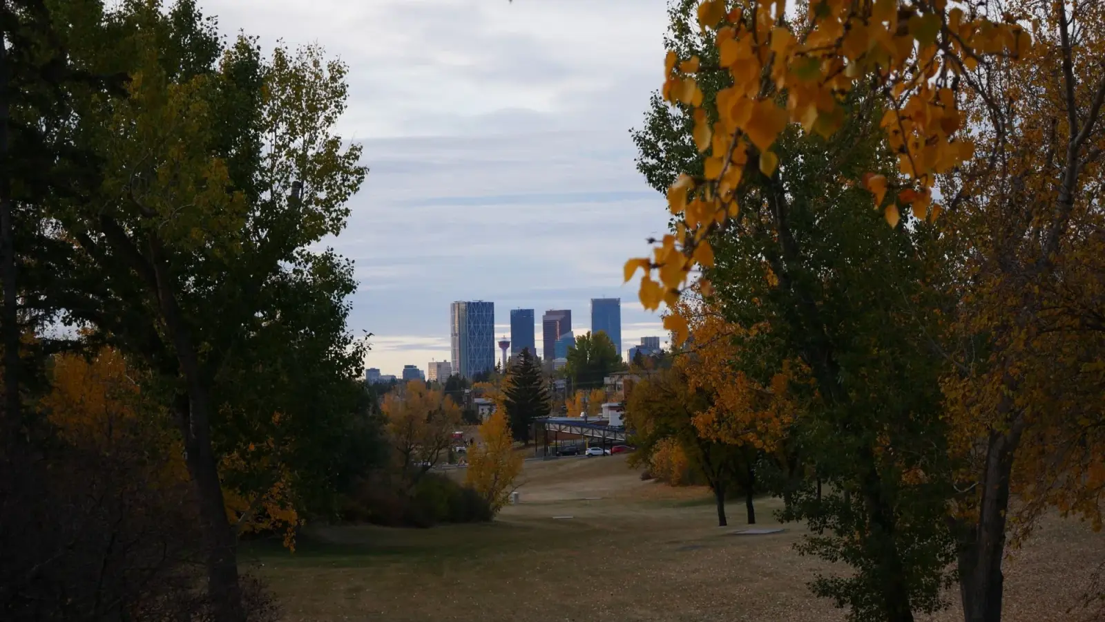 Downtown Calgary skyline framed by autumn trees